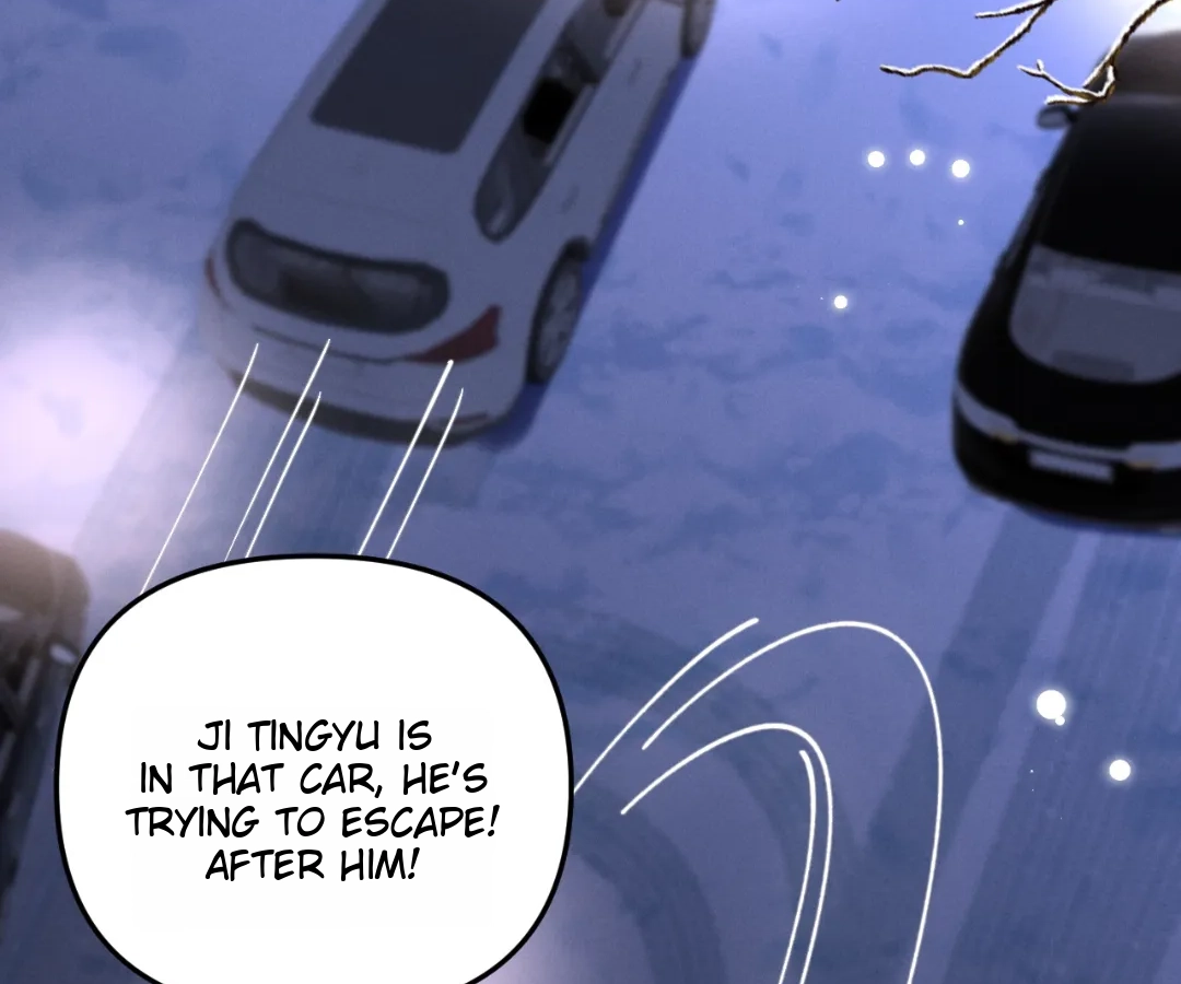 Toxic Adoration [Official] - Chapter 13 manhwa
