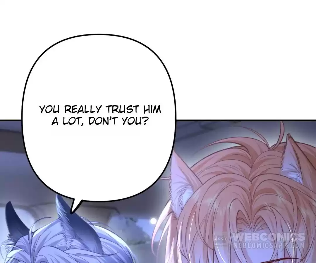 Toxic Adoration [Official] - Chapter 13 manhwa
