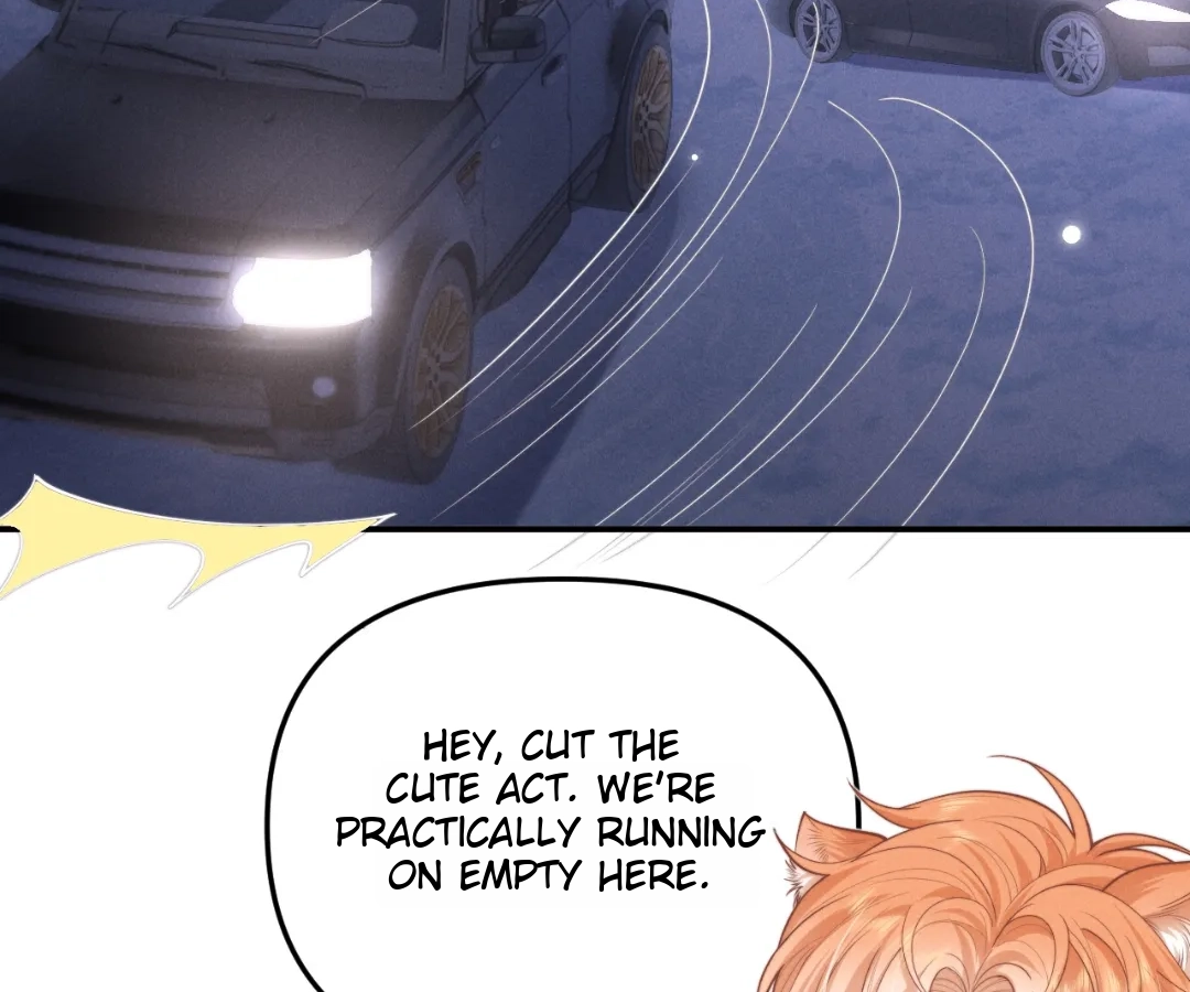 Toxic Adoration [Official] - Chapter 13 manhwa