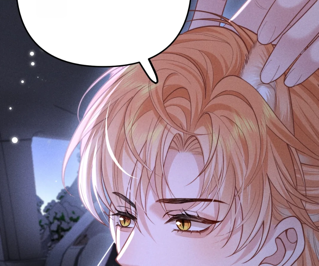 Toxic Adoration [Official] - Chapter 13 manhwa