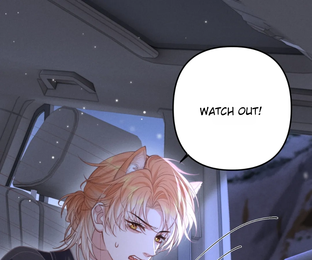 Toxic Adoration [Official] - Chapter 14 manhwa