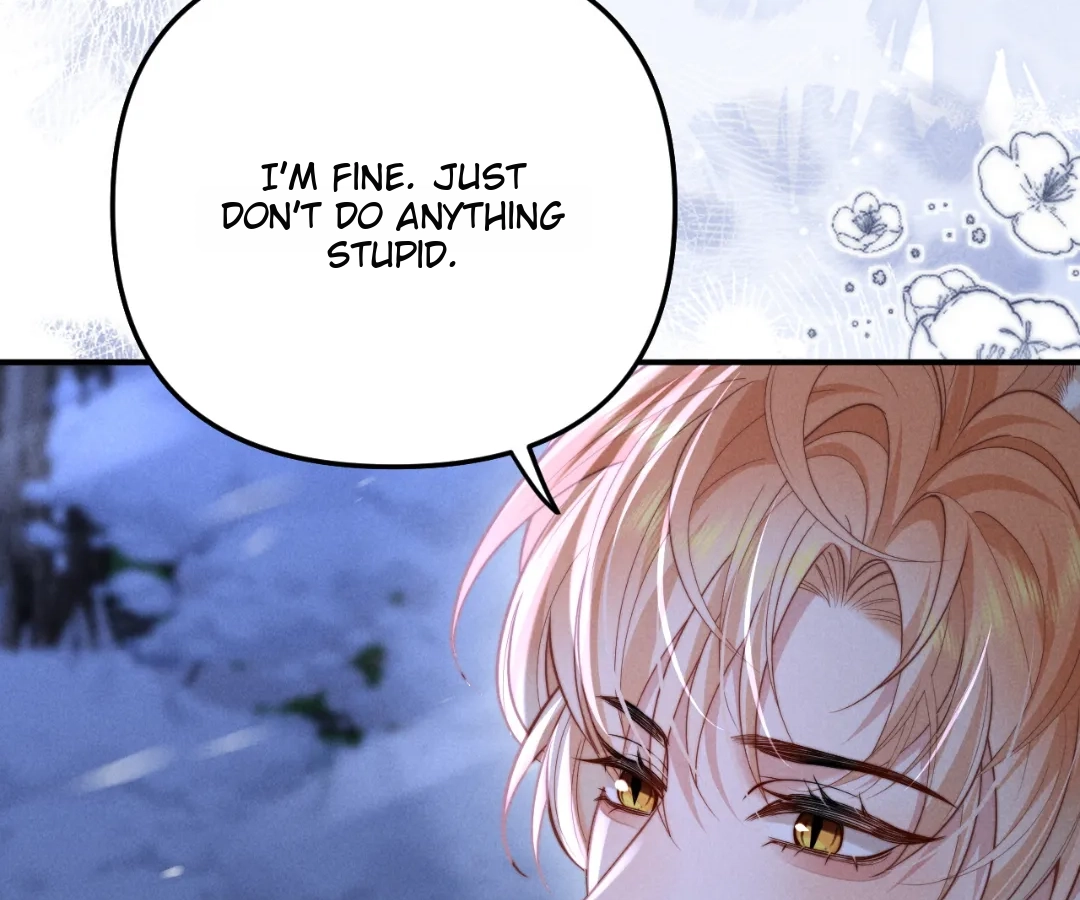 Toxic Adoration [Official] - Chapter 14 manhwa