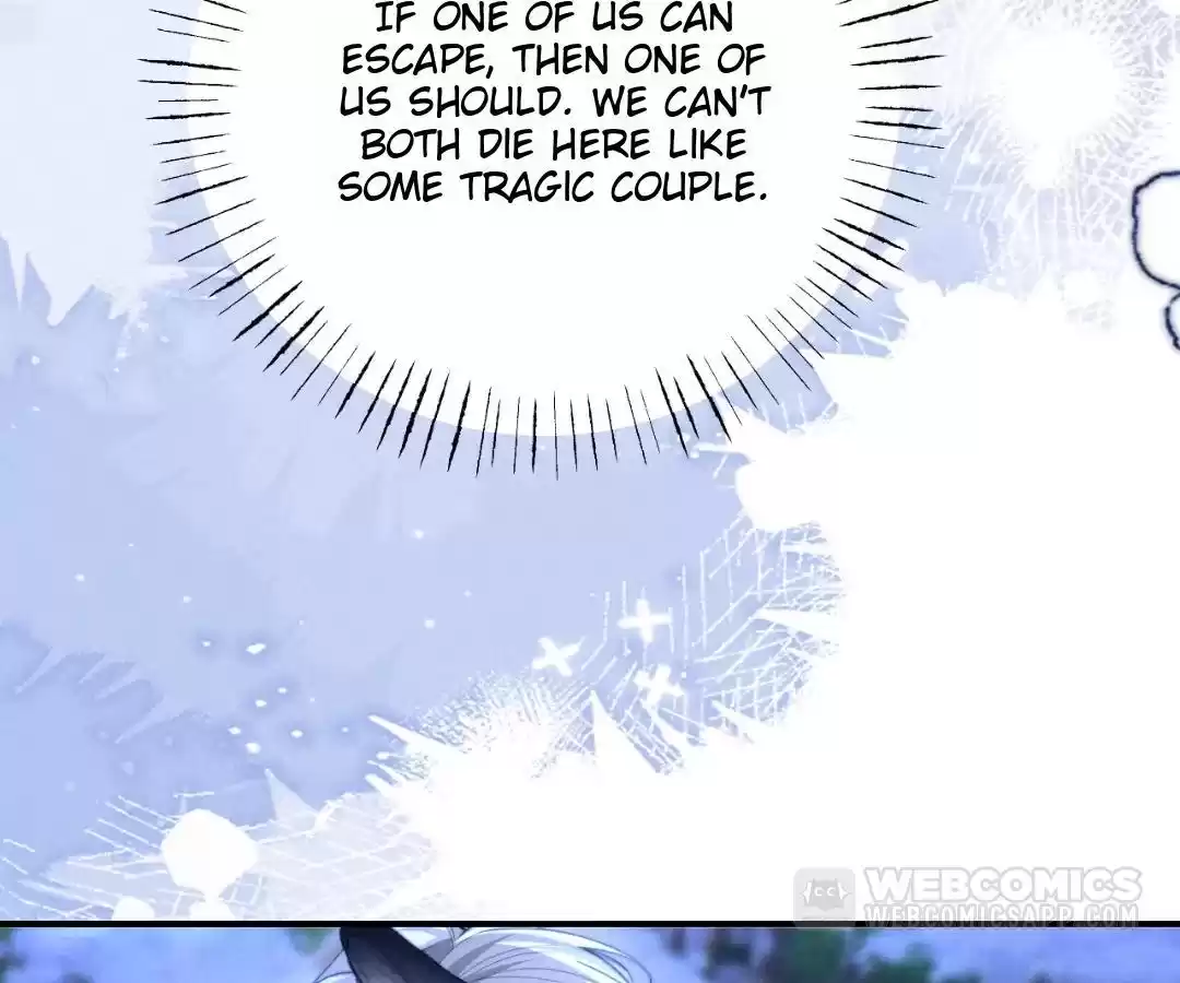 Toxic Adoration [Official] - Chapter 14 manhwa