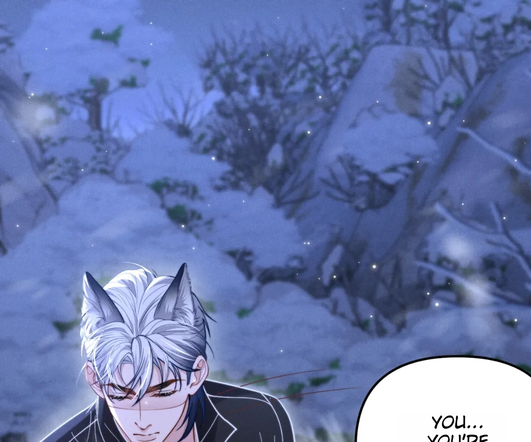 Toxic Adoration [Official] - Chapter 14 manhwa
