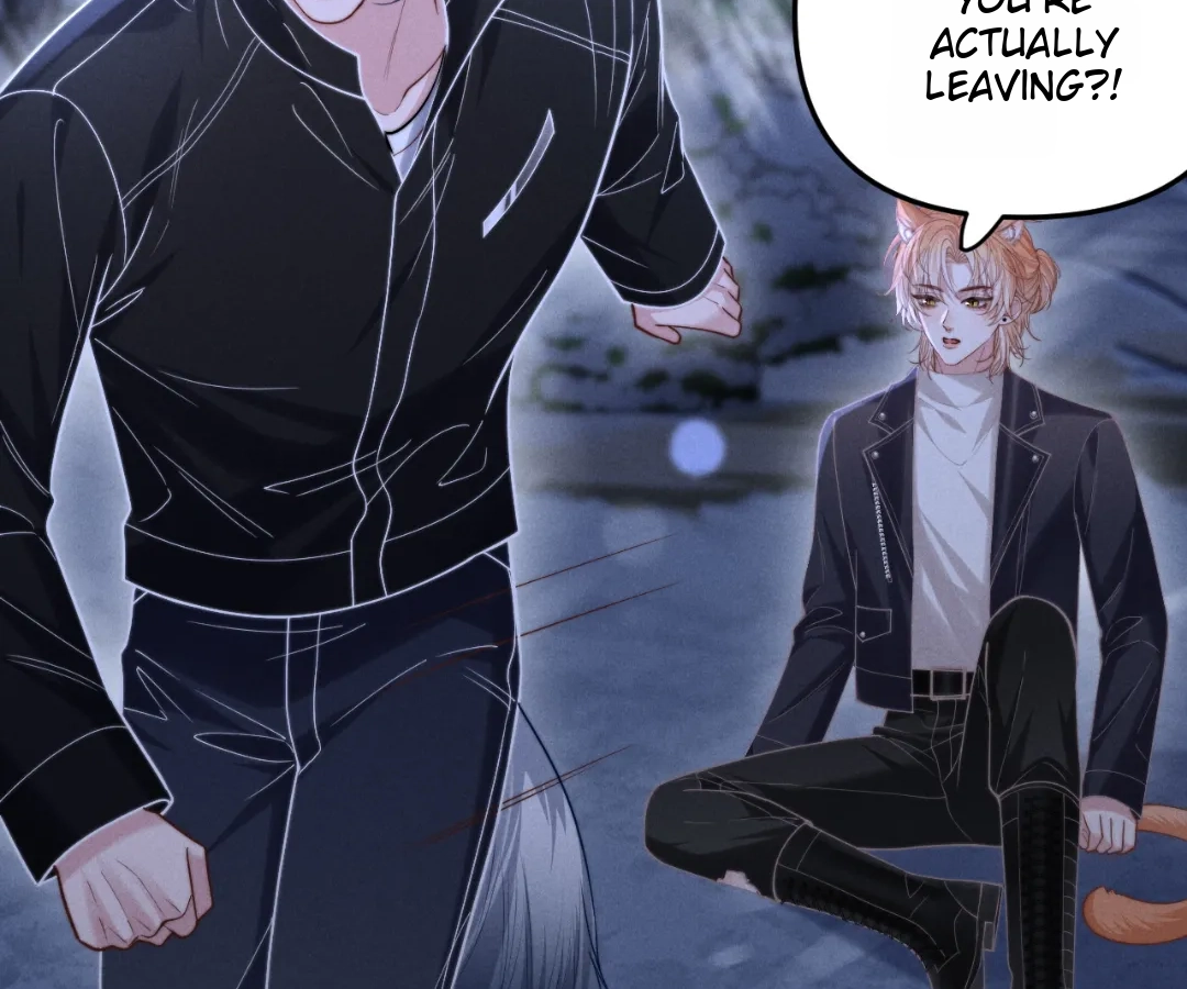 Toxic Adoration [Official] - Chapter 14 manhwa