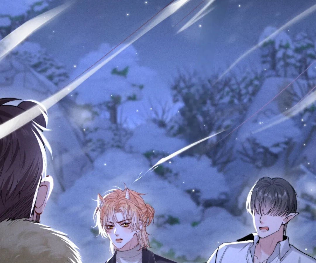 Toxic Adoration [Official] - Chapter 14 manhwa