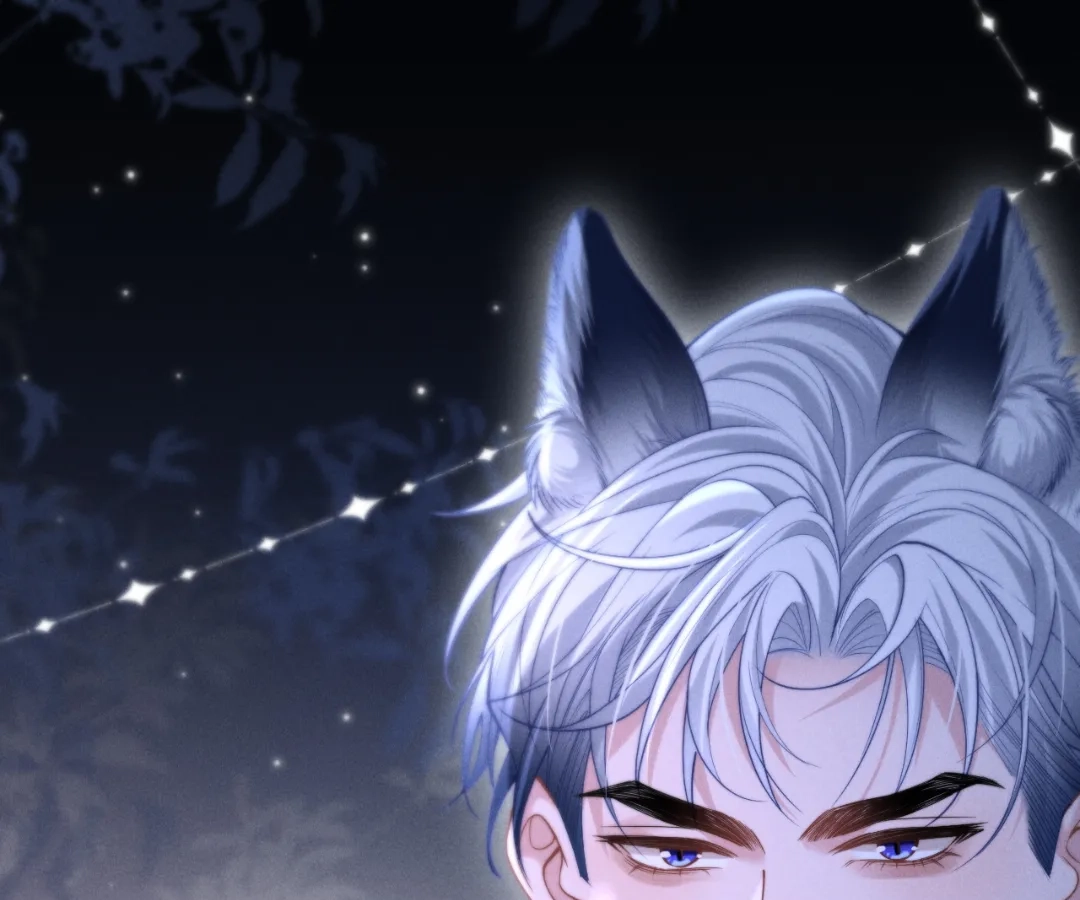 Toxic Adoration [Official] - Chapter 15 manhwa