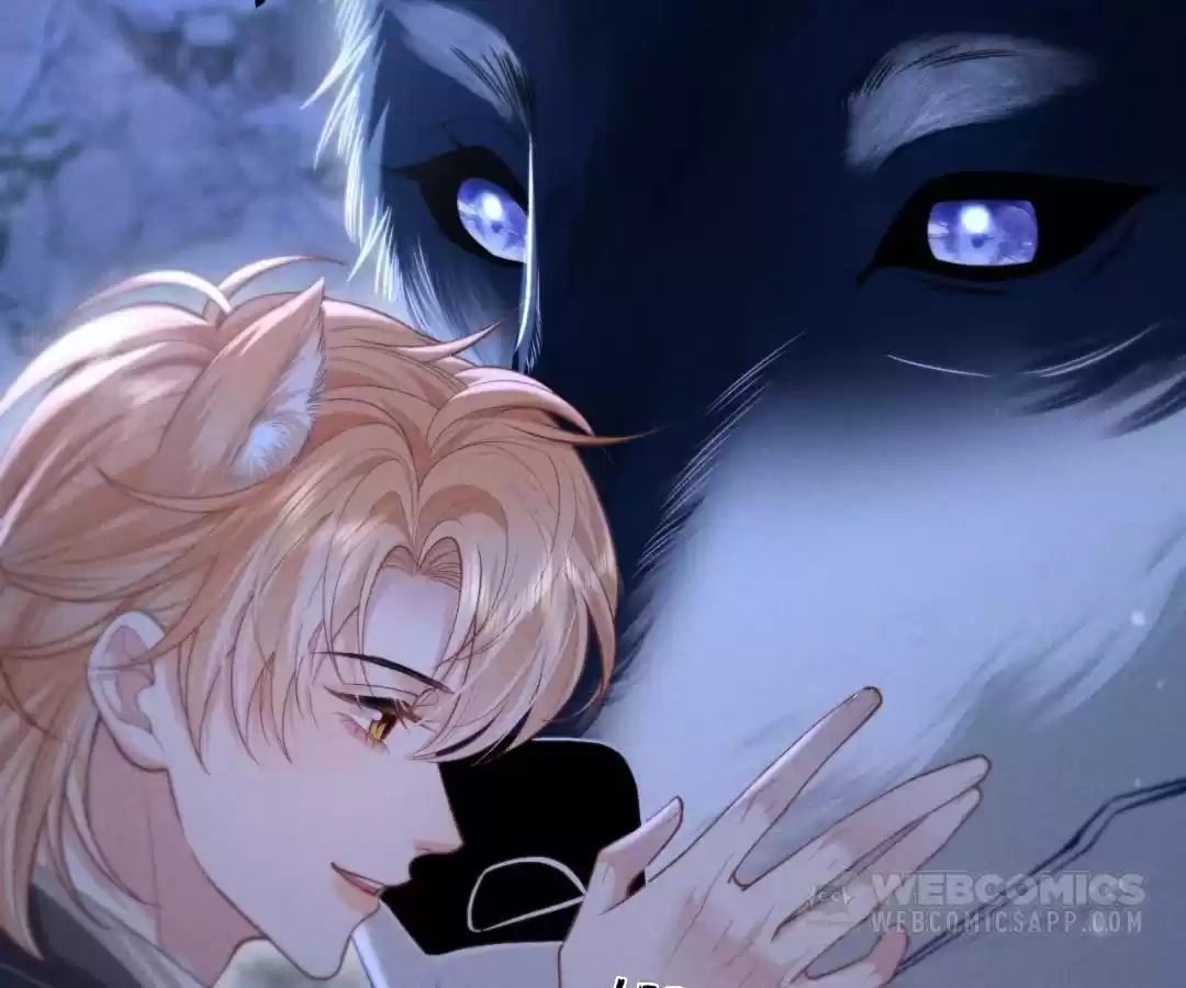 Toxic Adoration [Official] - Chapter 15 manhwa