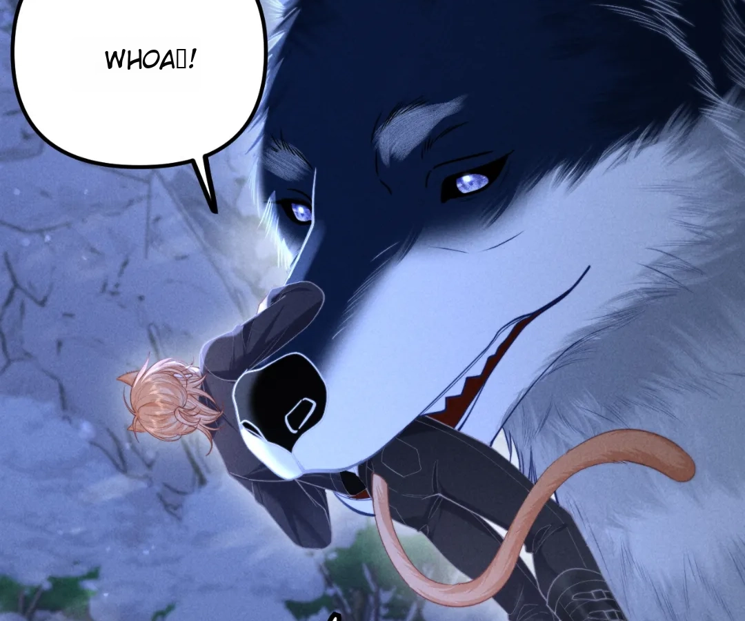 Toxic Adoration [Official] - Chapter 15 manhwa
