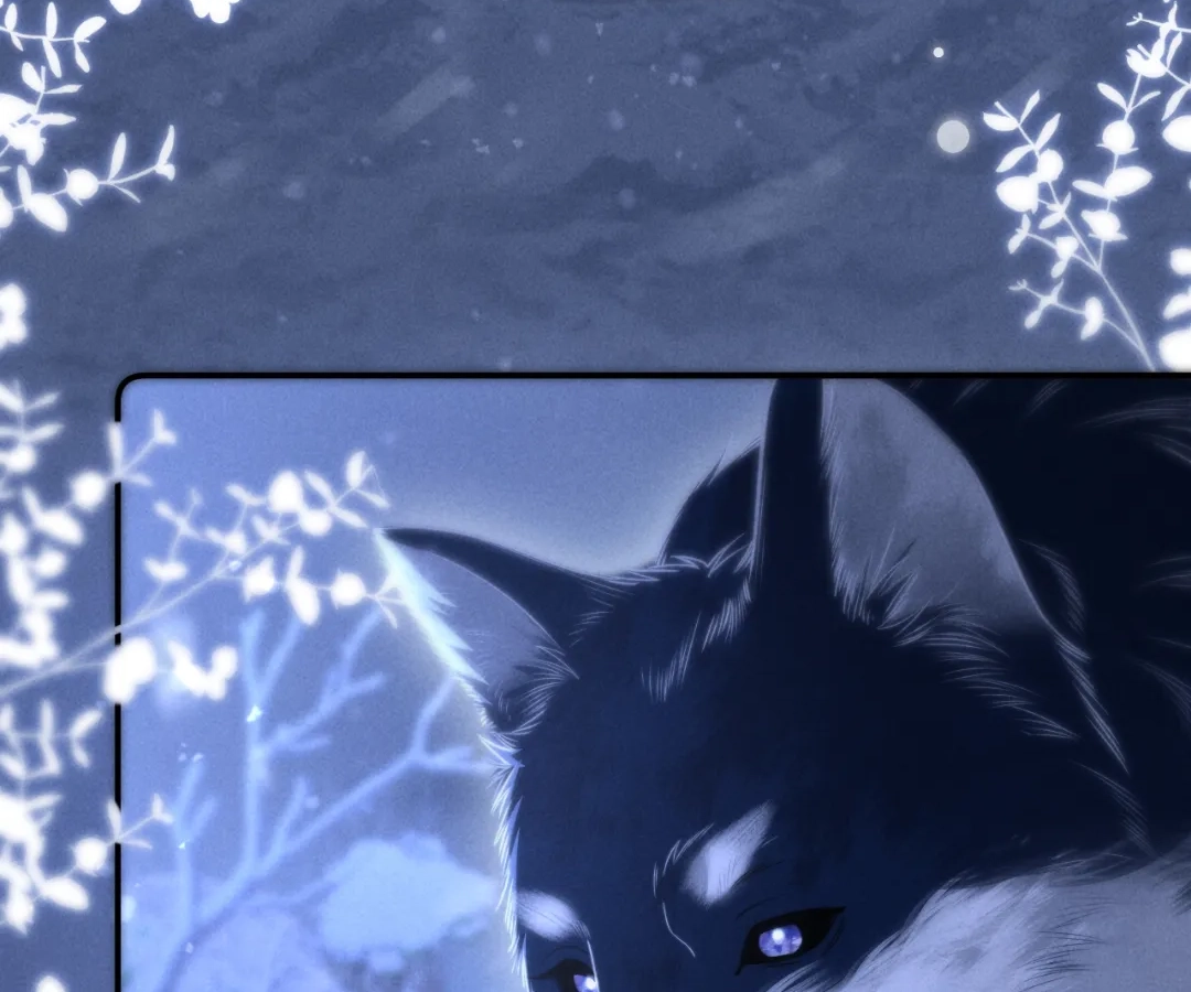 Toxic Adoration [Official] - Chapter 15 manhwa