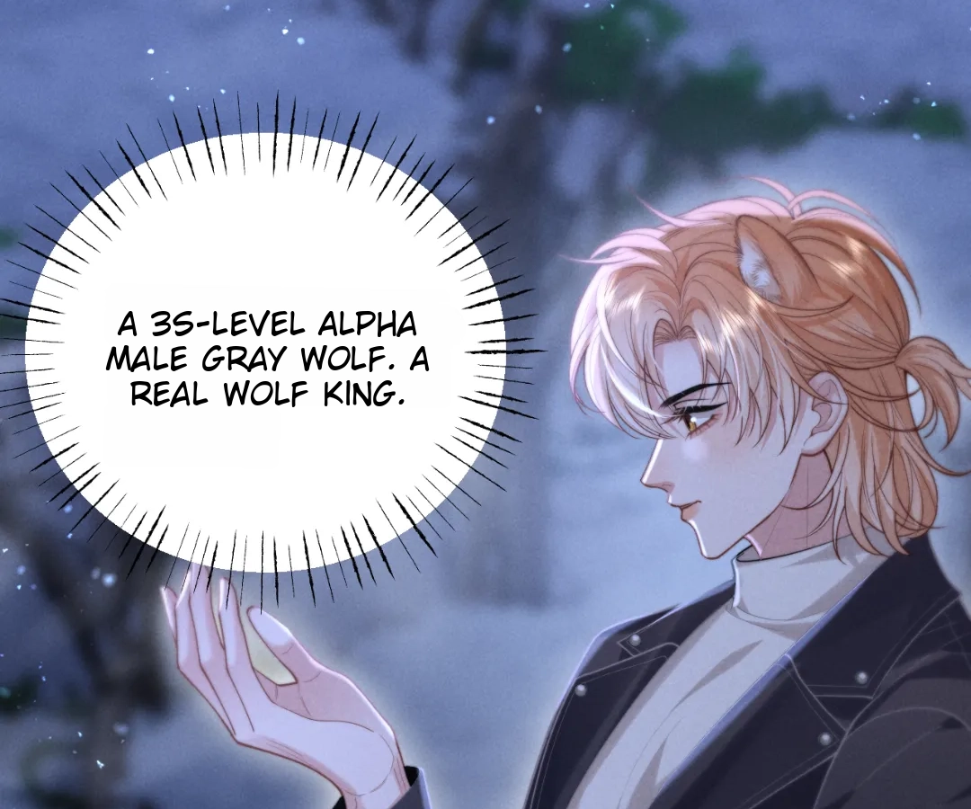 Toxic Adoration [Official] - Chapter 15 manhwa