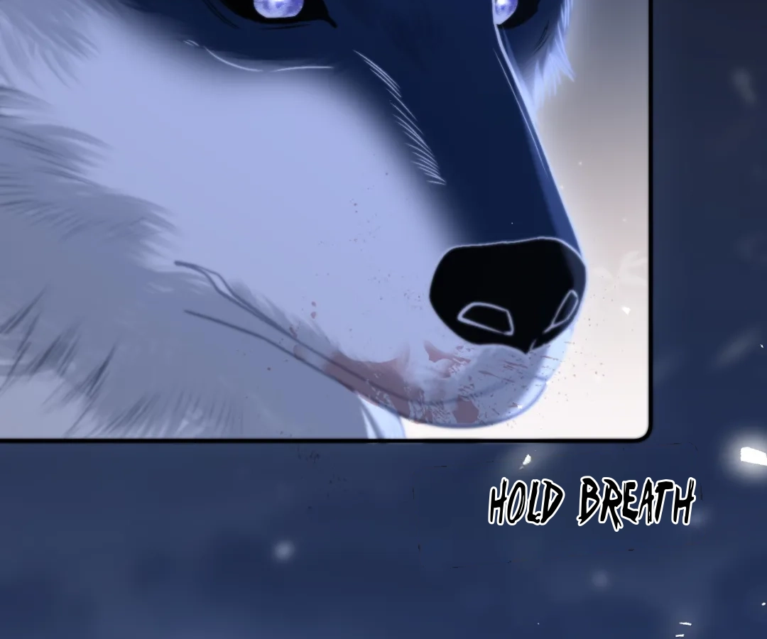 Toxic Adoration [Official] - Chapter 16 manhwa
