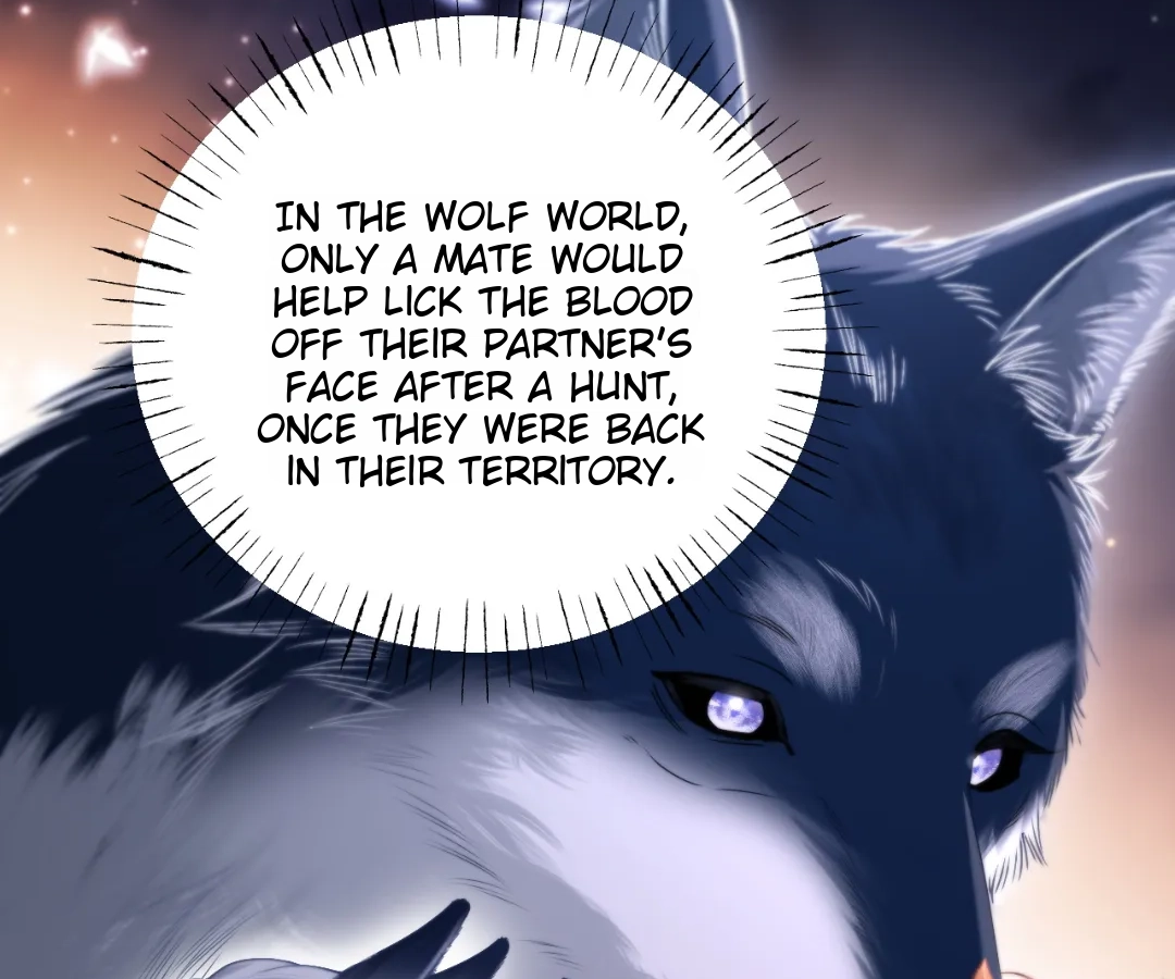 Toxic Adoration [Official] - Chapter 16 manhwa