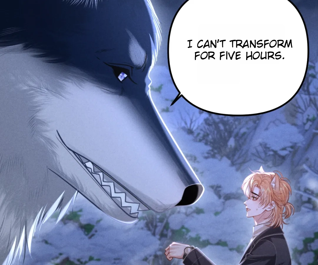 Toxic Adoration [Official] - Chapter 16 manhwa