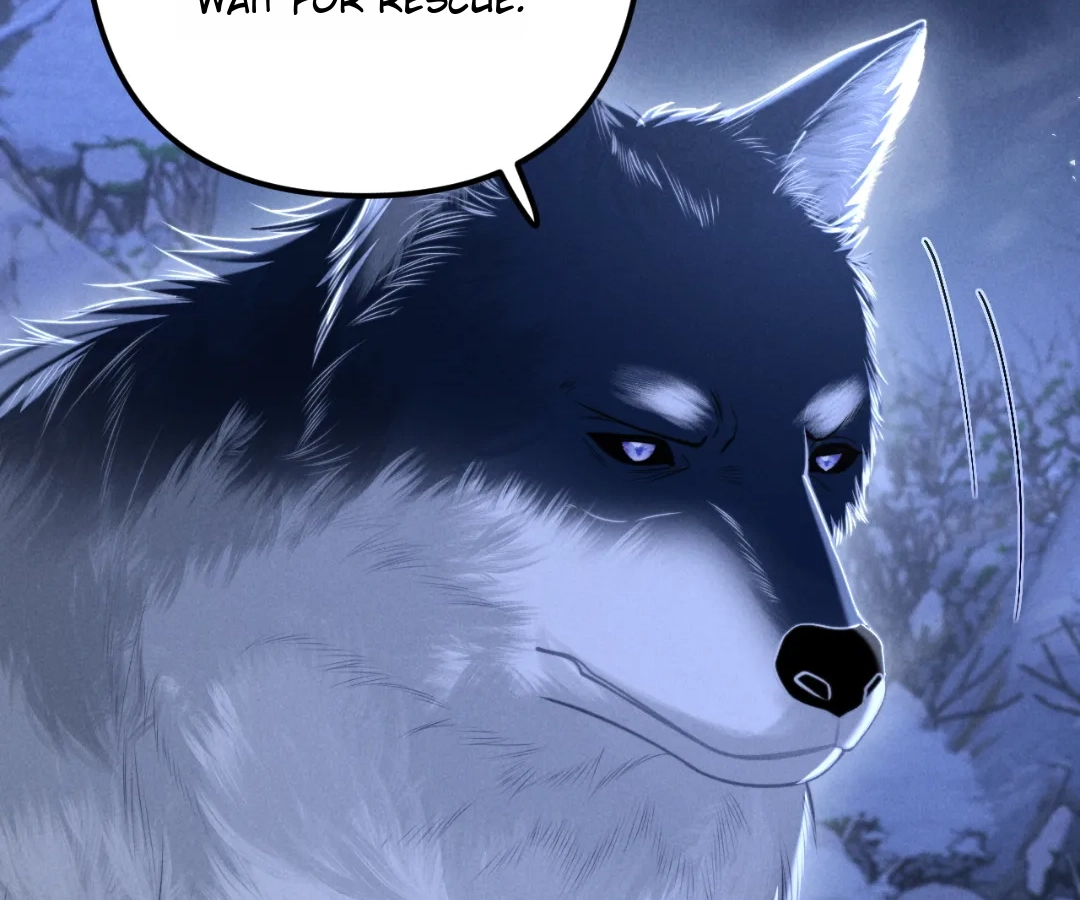 Toxic Adoration [Official] - Chapter 16 manhwa