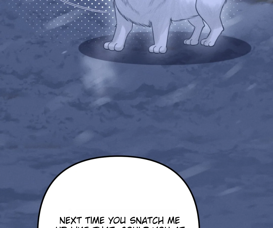 Toxic Adoration [Official] - Chapter 16 manhwa
