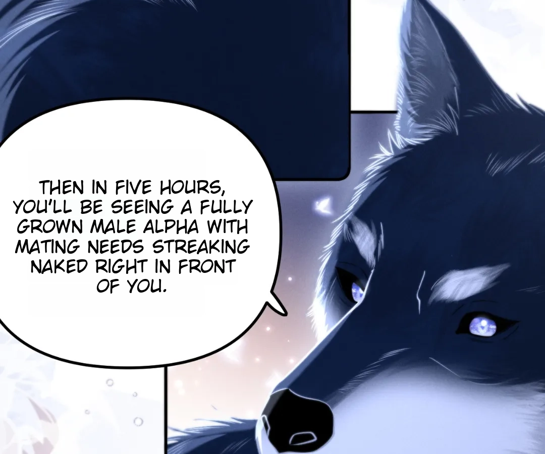 Toxic Adoration [Official] - Chapter 16 manhwa