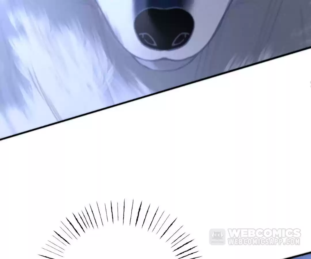 Toxic Adoration [Official] - Chapter 16 manhwa