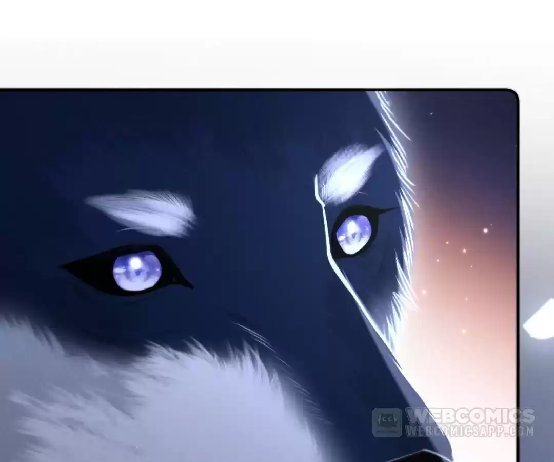 Toxic Adoration [Official] - Chapter 16 manhwa