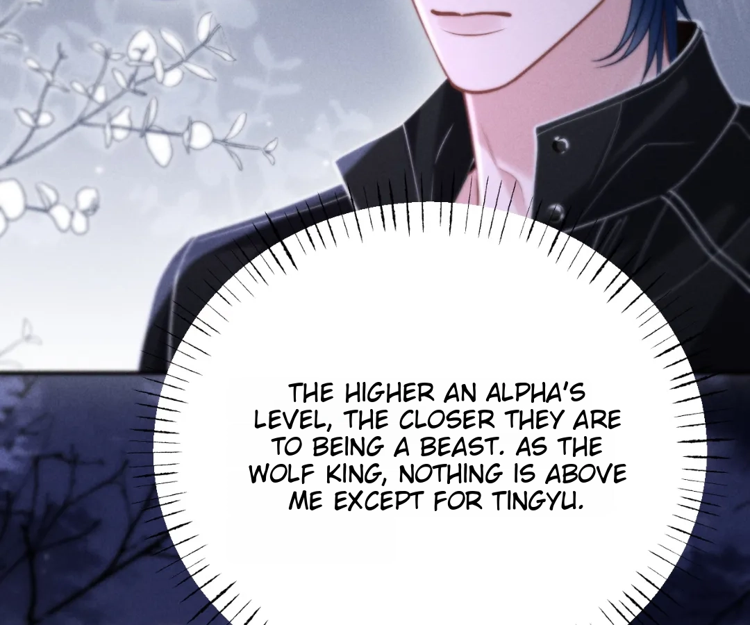 Toxic Adoration [Official] - Chapter 16 manhwa
