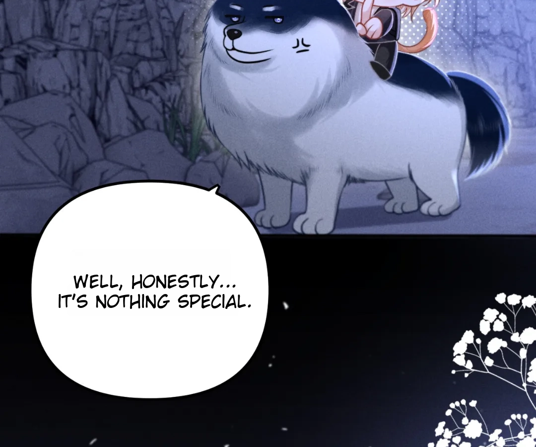 Toxic Adoration [Official] - Chapter 17 manhwa