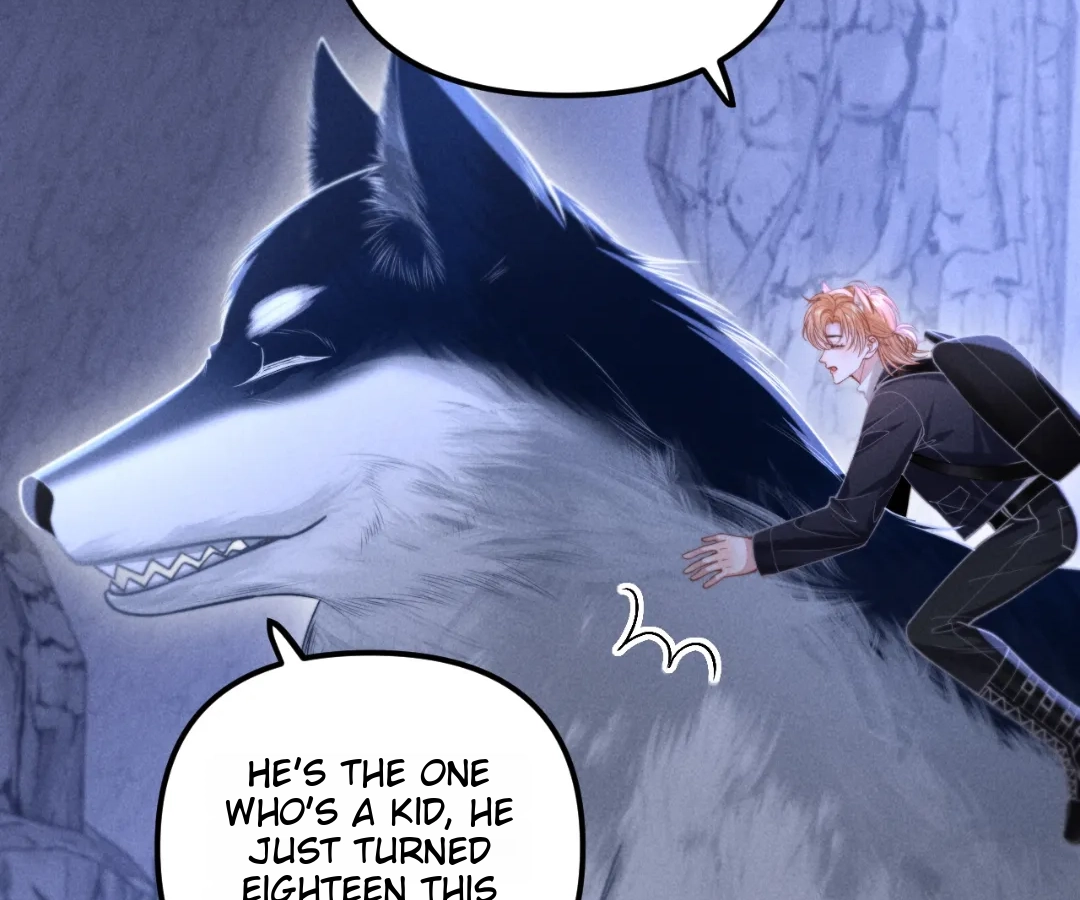 Toxic Adoration [Official] - Chapter 17 manhwa