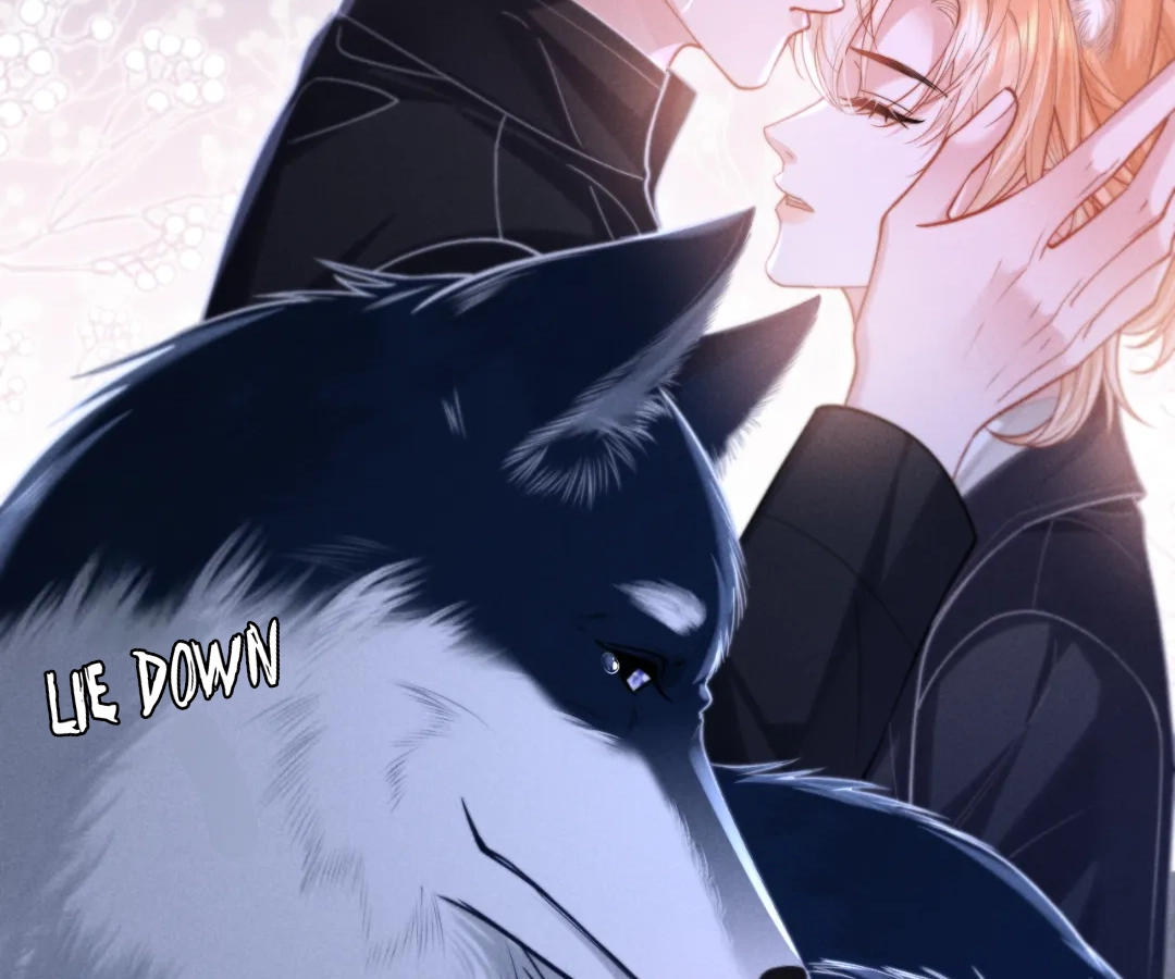 Toxic Adoration [Official] - Chapter 17 manhwa