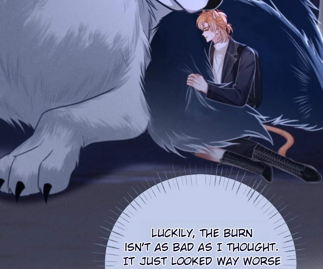 Toxic Adoration [Official] - Chapter 17 manhwa