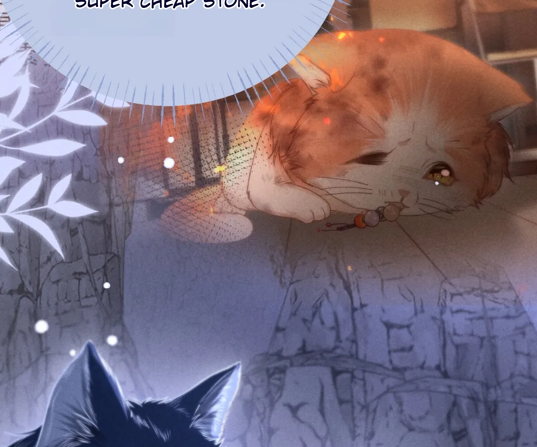 Toxic Adoration [Official] - Chapter 17 manhwa