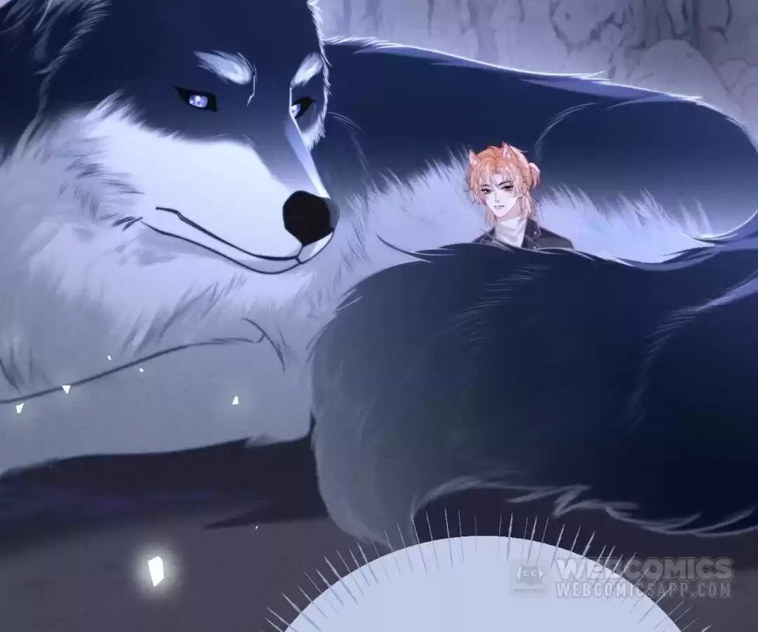 Toxic Adoration [Official] - Chapter 17 manhwa