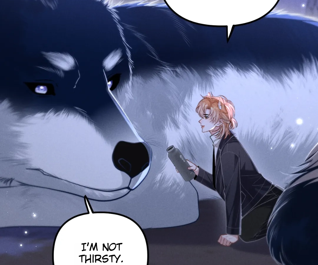 Toxic Adoration [Official] - Chapter 17 manhwa