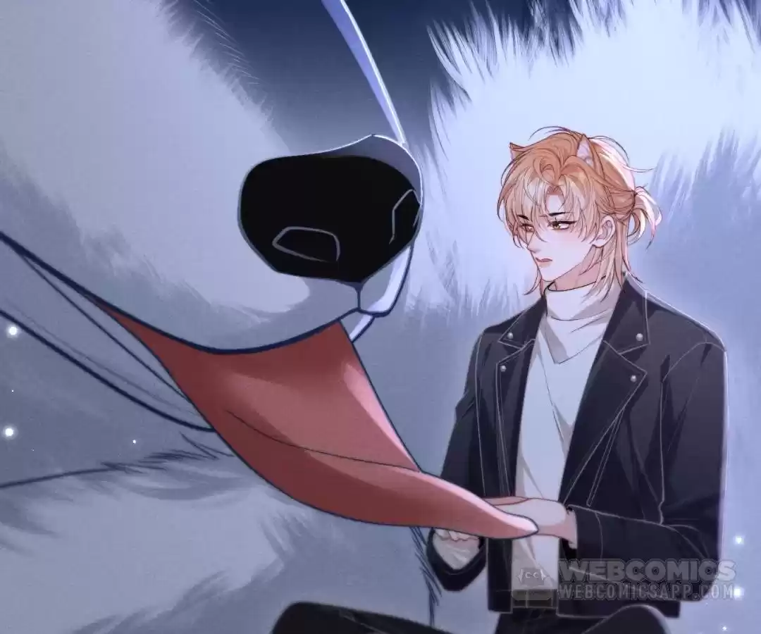 Toxic Adoration [Official] - Chapter 17 manhwa