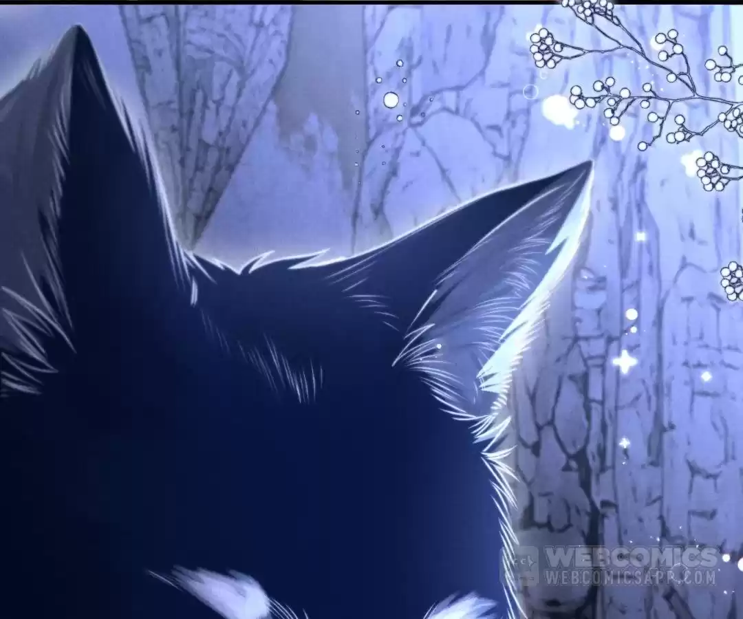 Toxic Adoration [Official] - Chapter 17 manhwa
