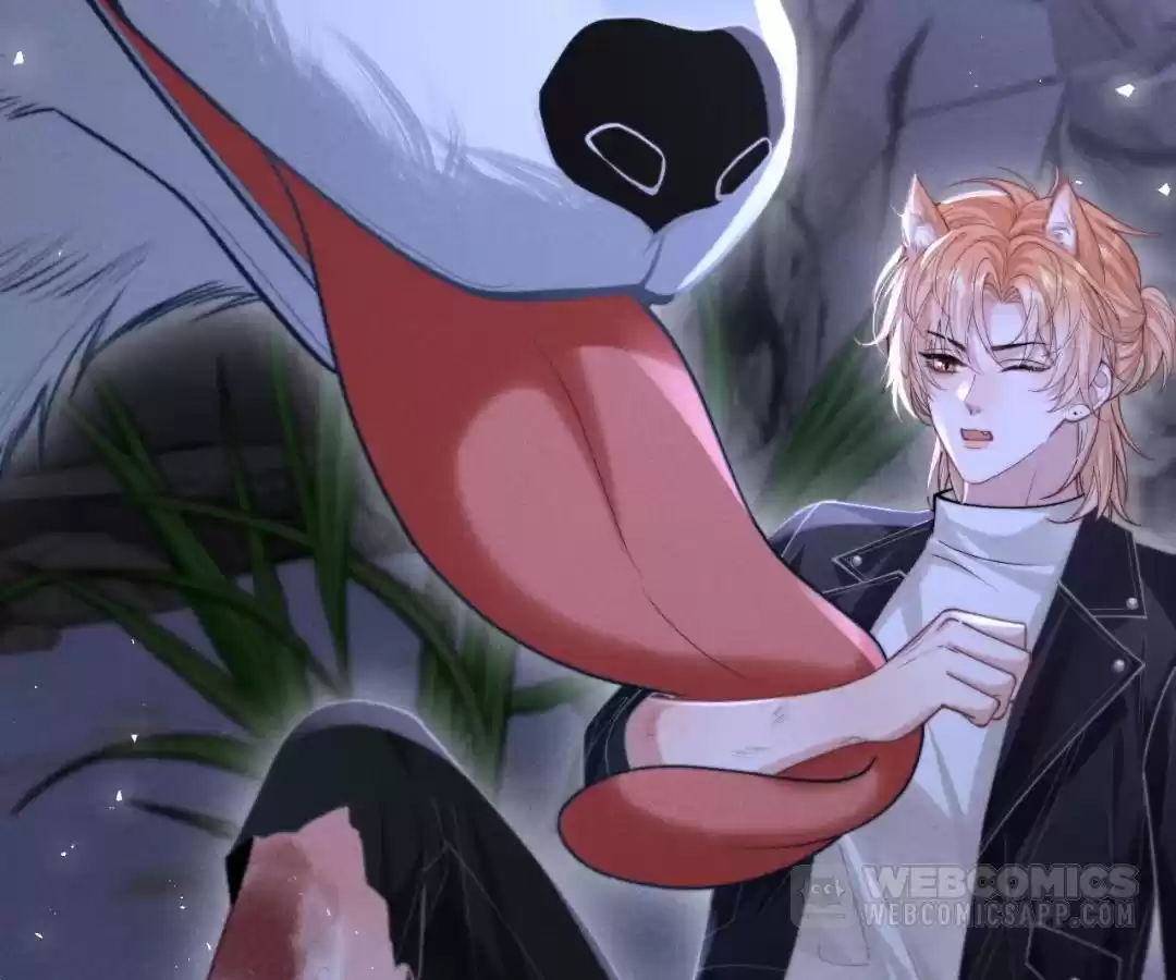 Toxic Adoration [Official] - Chapter 18 manhwa