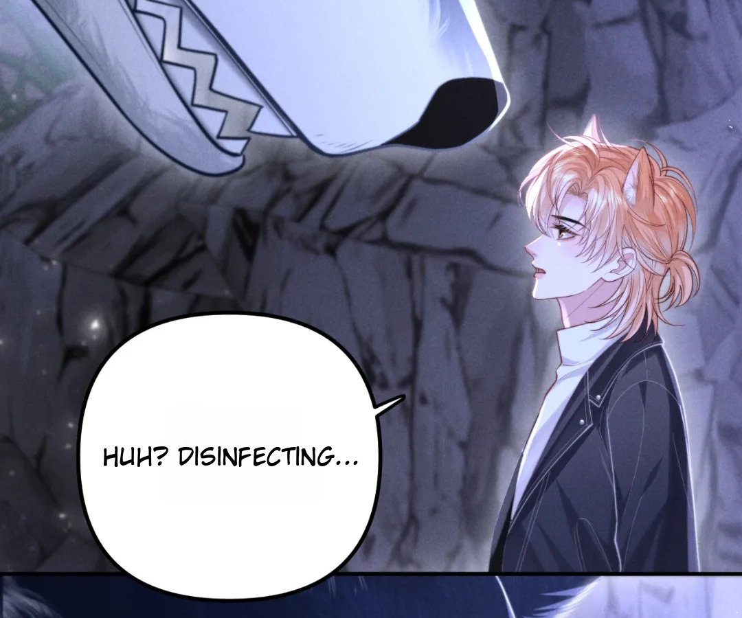 Toxic Adoration [Official] - Chapter 18 manhwa