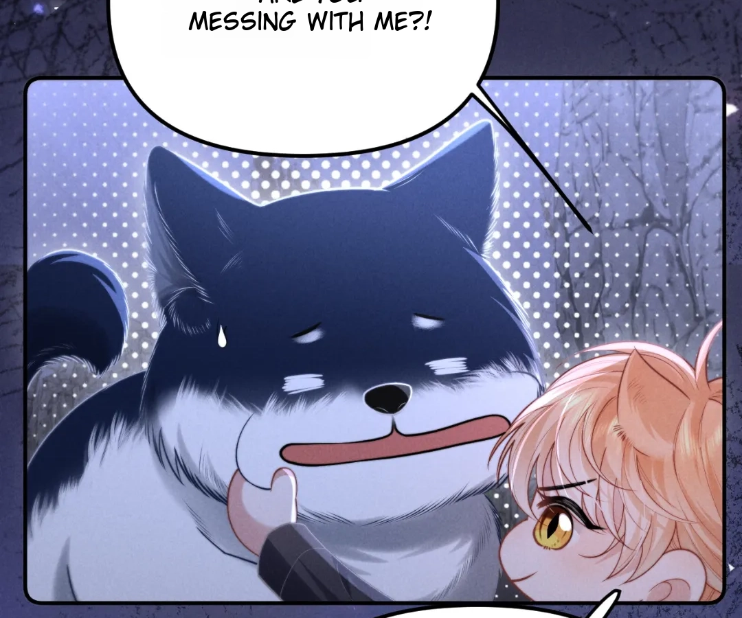 Toxic Adoration [Official] - Chapter 18 manhwa
