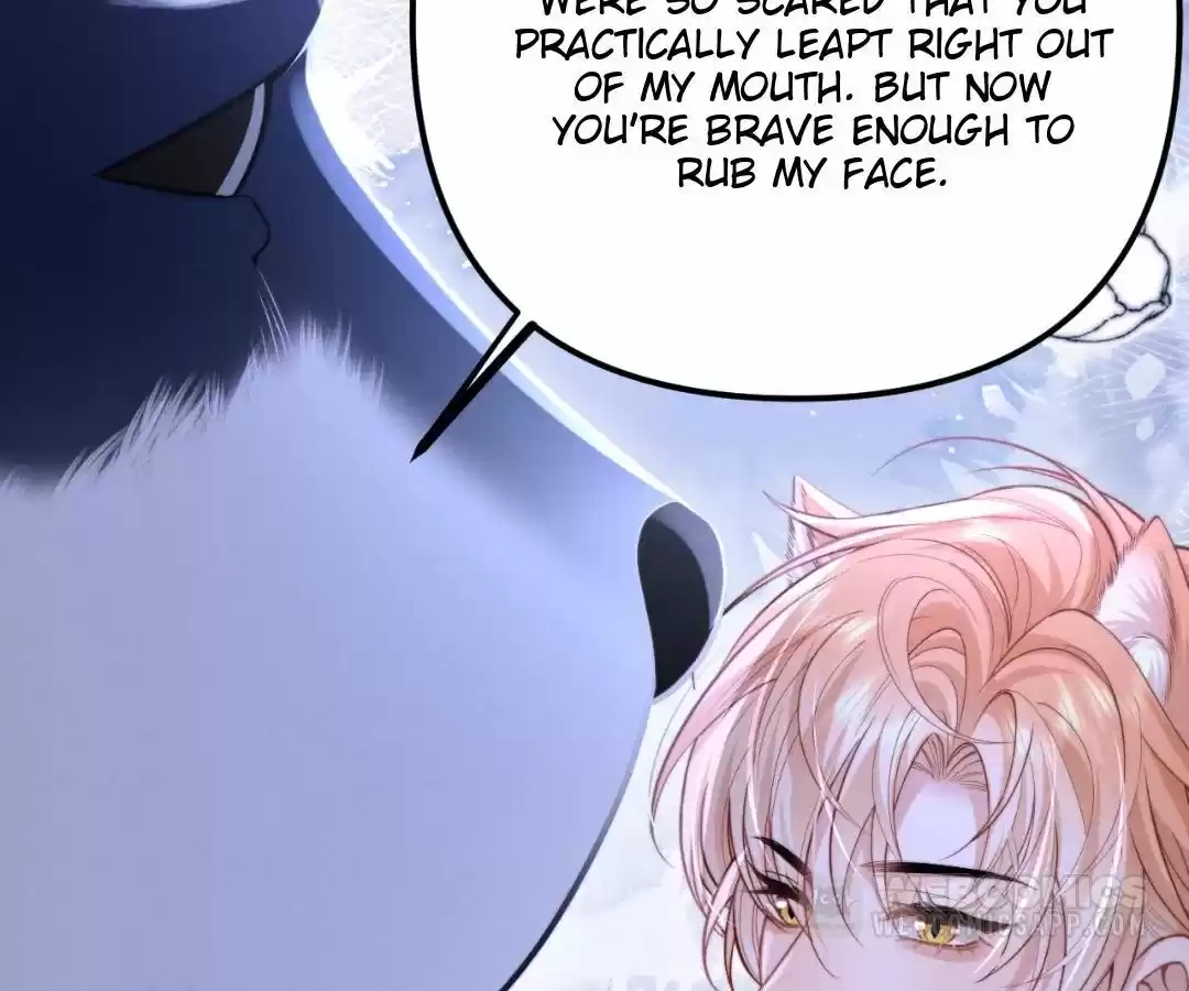 Toxic Adoration [Official] - Chapter 18 manhwa