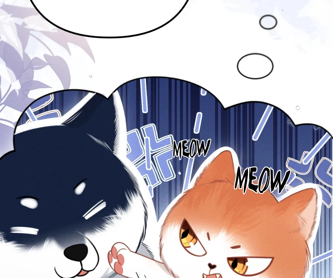 Toxic Adoration [Official] - Chapter 18 manhwa