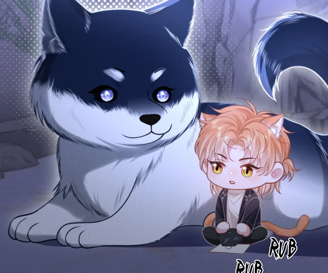 Toxic Adoration [Official] - Chapter 18 manhwa