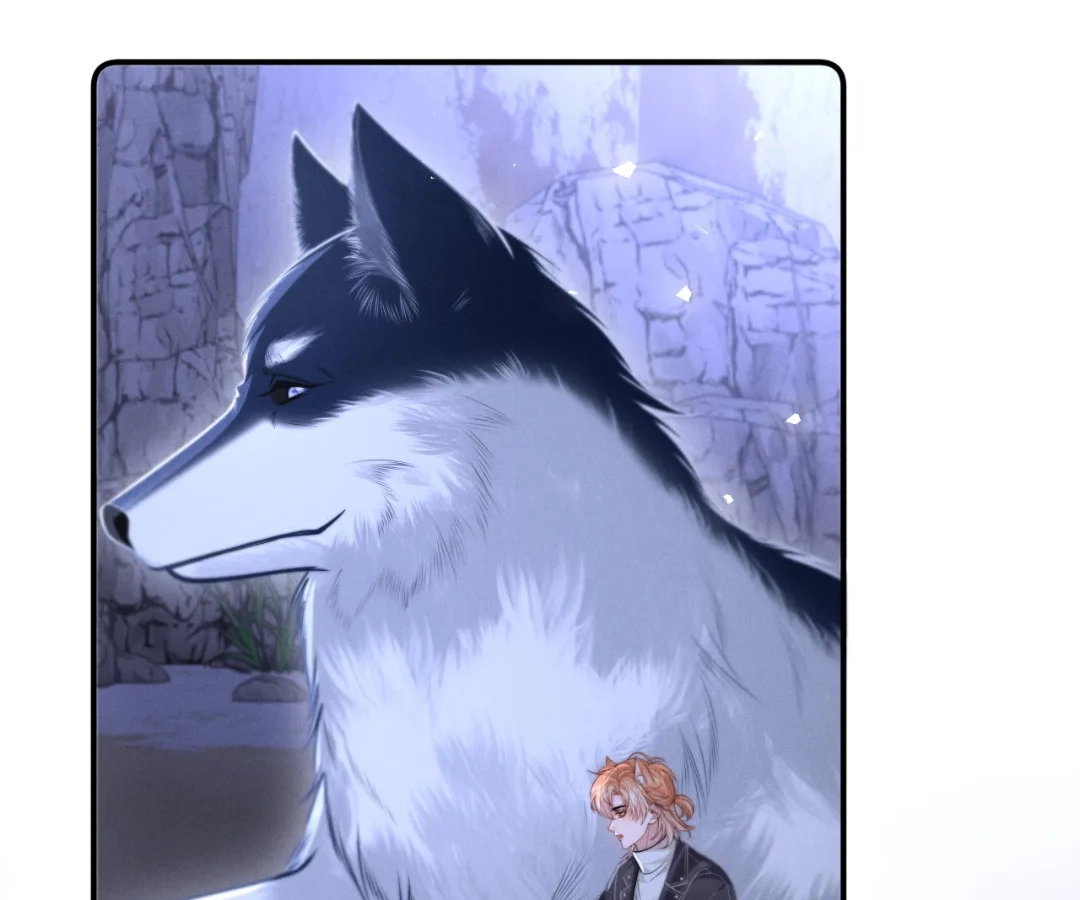 Toxic Adoration [Official] - Chapter 18 manhwa