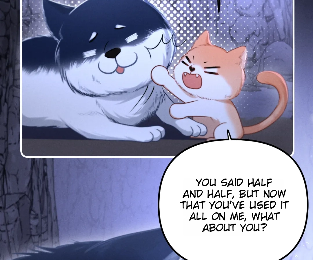 Toxic Adoration [Official] - Chapter 18 manhwa
