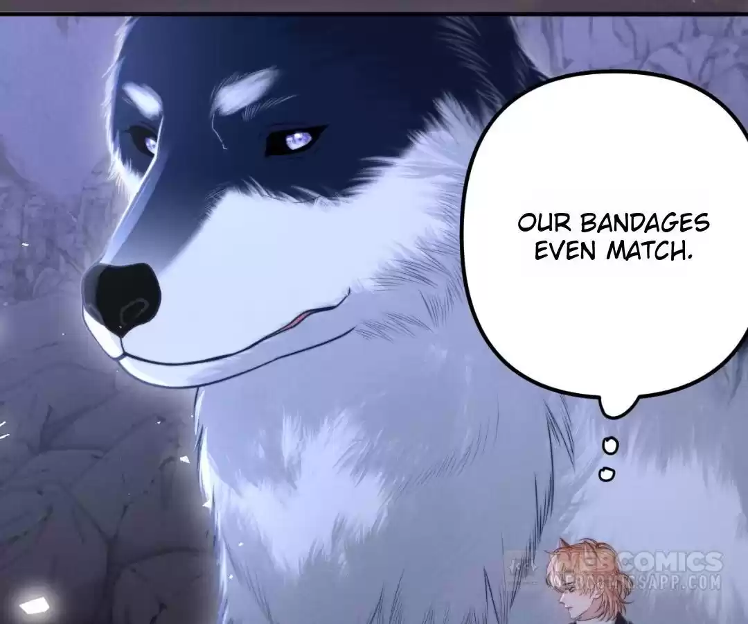 Toxic Adoration [Official] - Chapter 18 manhwa