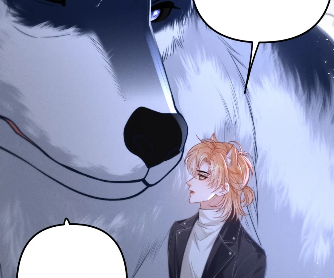 Toxic Adoration [Official] - Chapter 18 manhwa