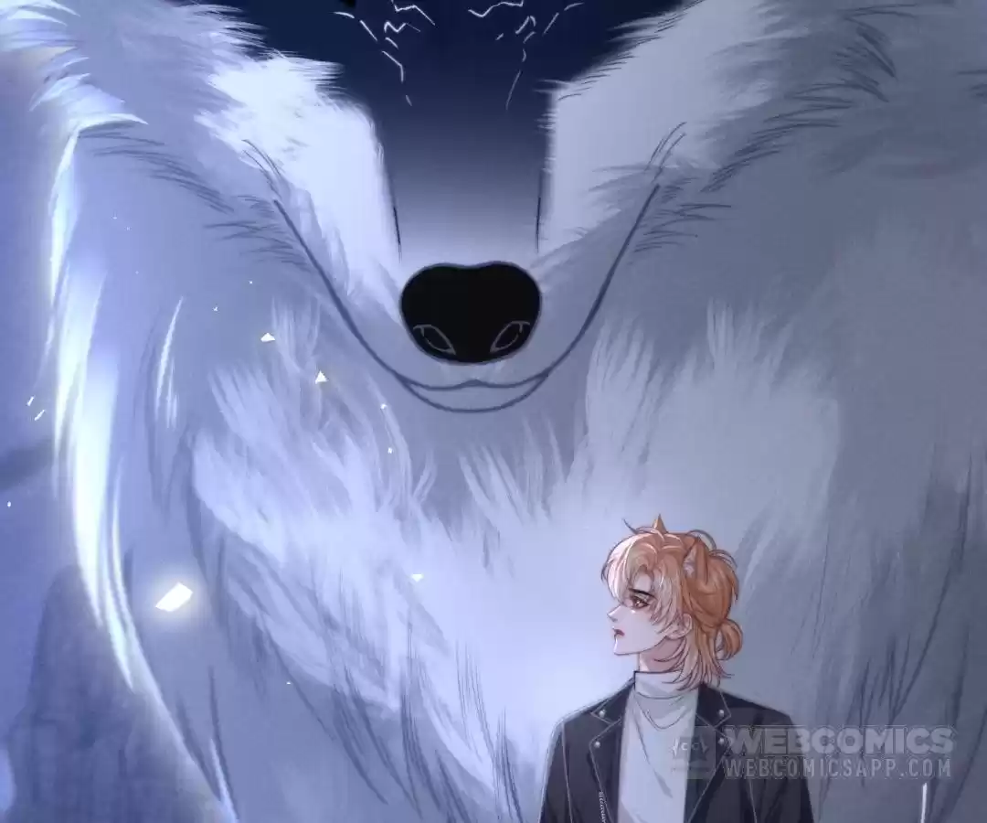 Toxic Adoration [Official] - Chapter 18 manhwa