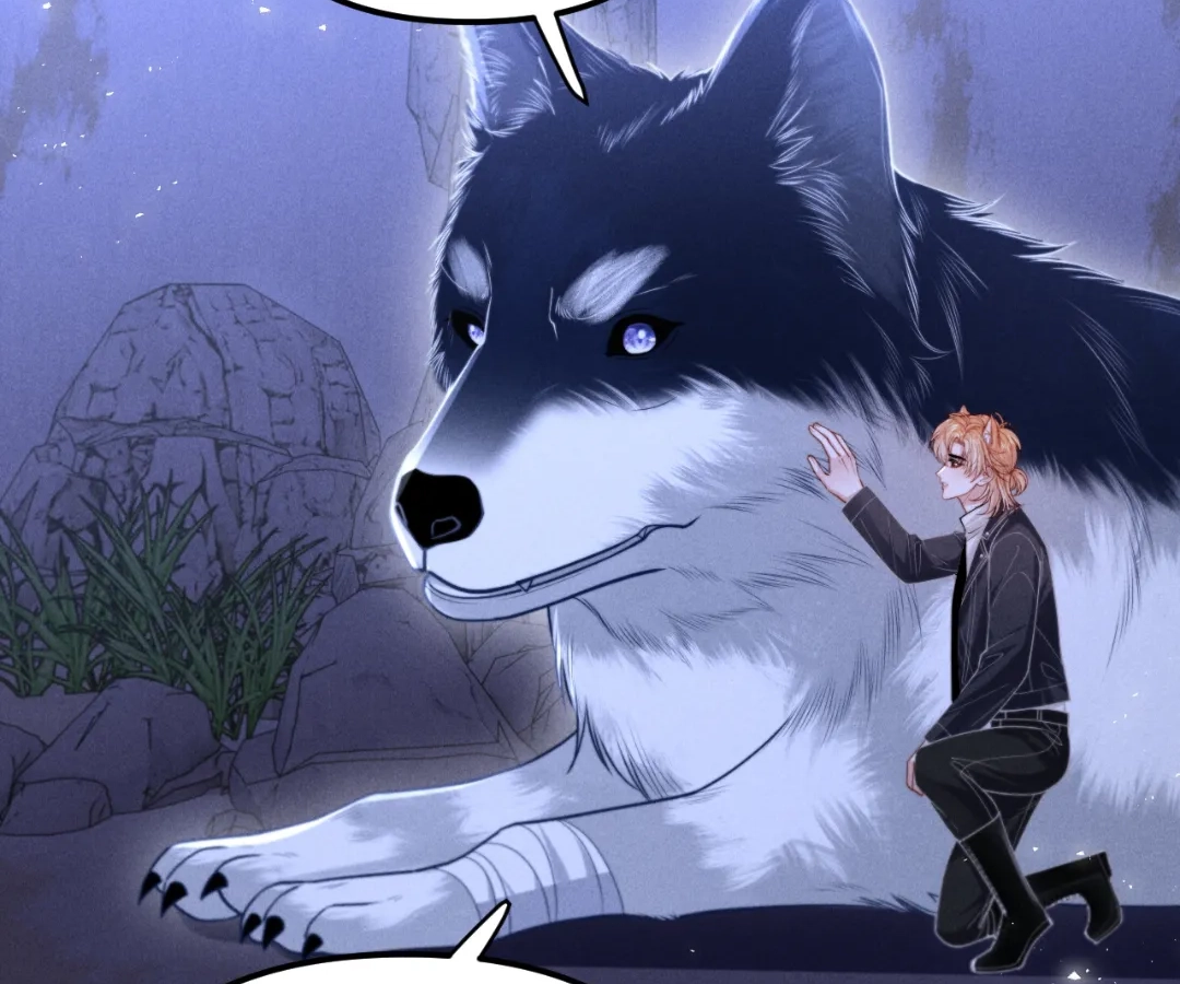 Toxic Adoration [Official] - Chapter 19 manhwa