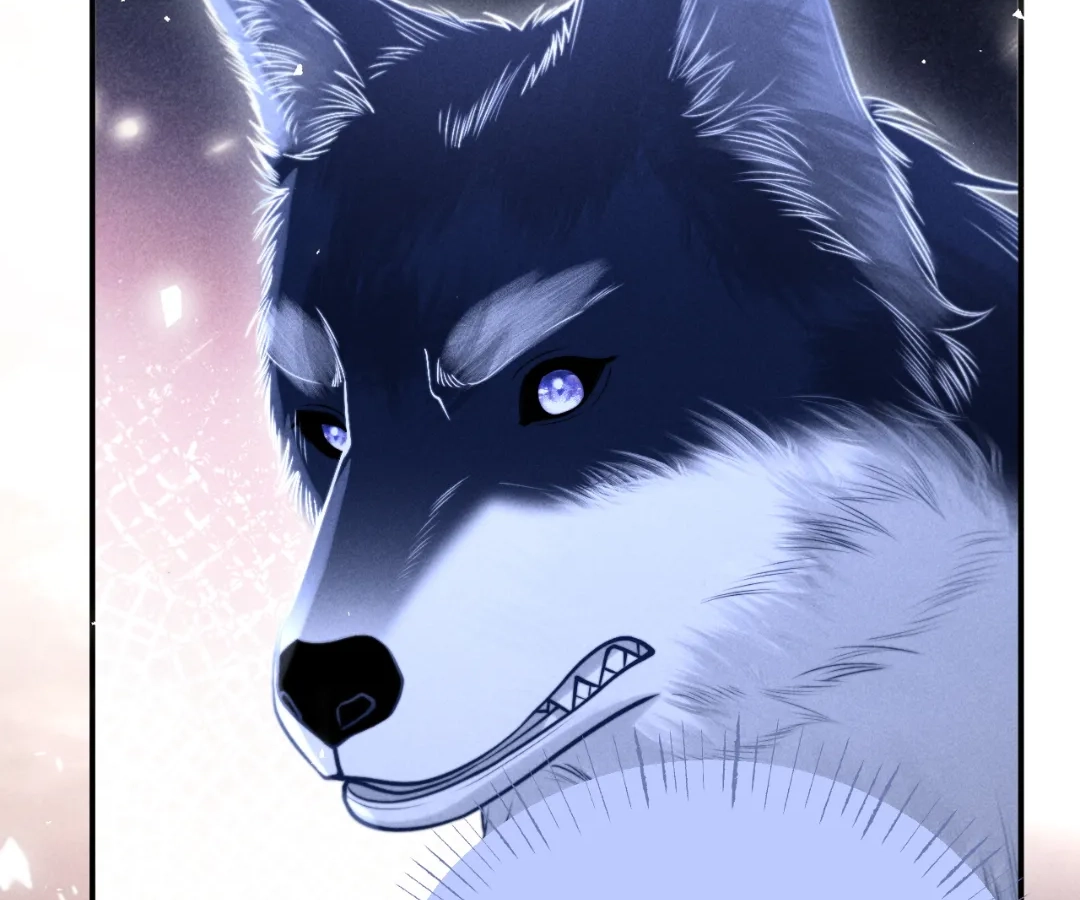 Toxic Adoration [Official] - Chapter 19 manhwa