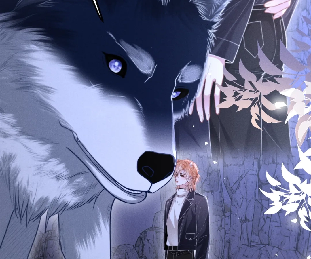 Toxic Adoration [Official] - Chapter 19 manhwa