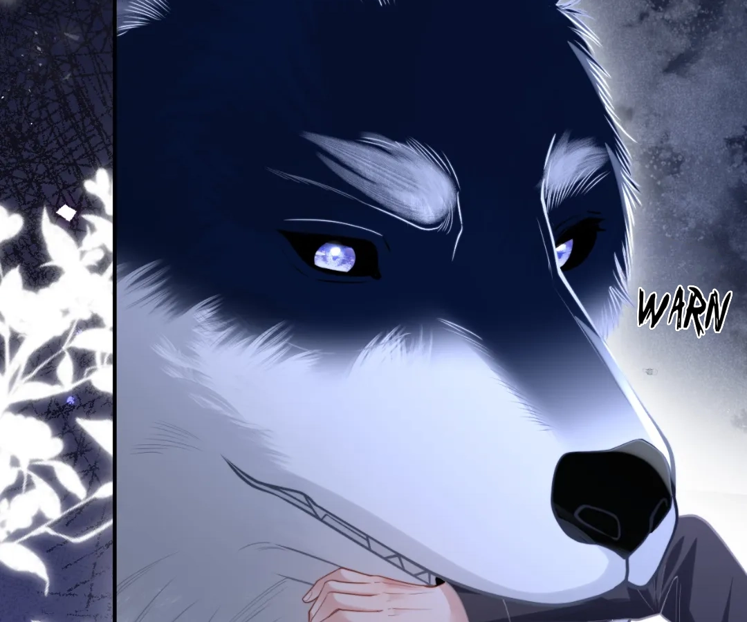 Toxic Adoration [Official] - Chapter 19 manhwa