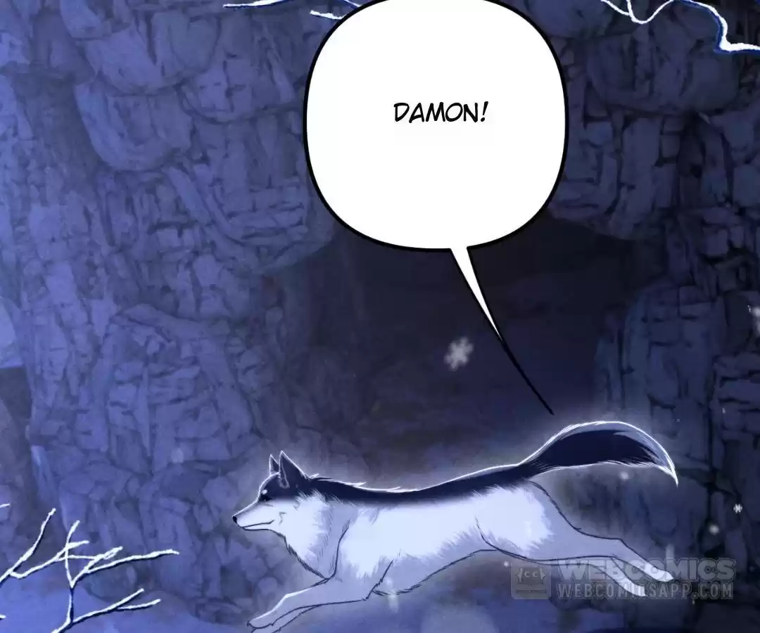 Toxic Adoration [Official] - Chapter 19 manhwa