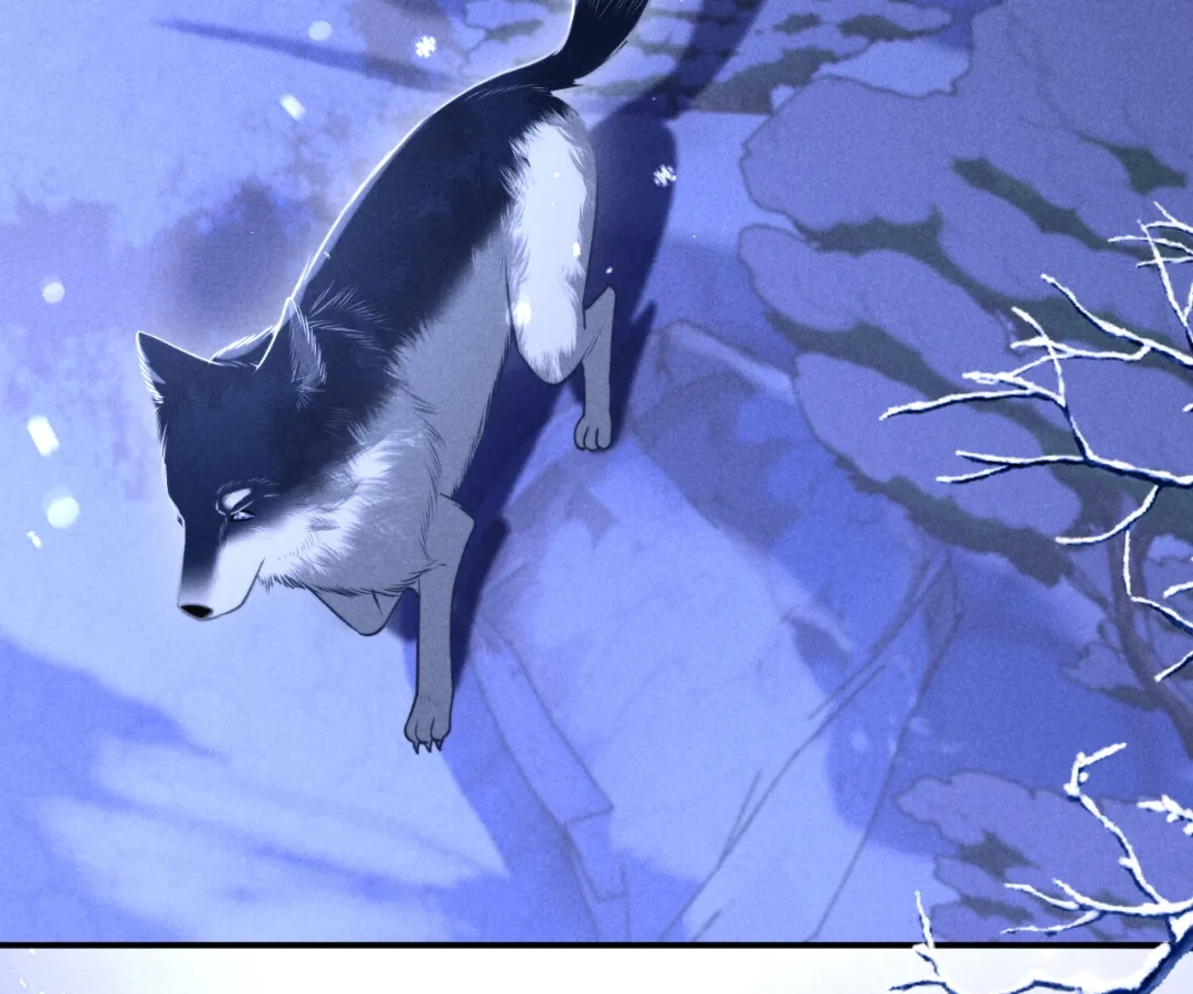 Toxic Adoration [Official] - Chapter 19 manhwa